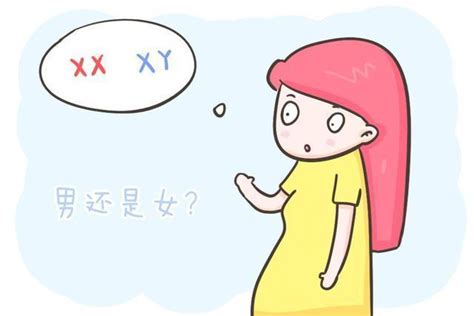 生男生生女生|生男生女的概率真的一样吗？